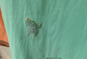 Marisfrolg【能量色彩】瑪絲菲爾時(shí)尚氣質(zhì)圓領(lǐng)蝴蝶印花花稿修身T恤短袖上衣 綠色 S 曬單實(shí)拍圖