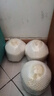 鮮寶道海南牛奶椰皇裝椰白新鮮水果孕婦煲雞湯椰青椰汁配開(kāi)孔器+吸管 海南去皮椰青9個(gè)大果900克+ 曬單實(shí)拍圖