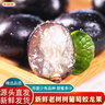京地達河南新鮮蛟龍果樹(shù)葡萄凈重5斤單盒約180g黑珍珠非嘉寶果源頭直發(fā) 曬單實(shí)拍圖