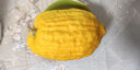 云南特產(chǎn)香櫞水果新鮮大果現(xiàn)摘枸櫞清供聞香食用泡水罕見水果包郵 3斤 曬單實拍圖