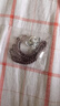 輕萌925純銀藏式金翅大鵬鳥配飾吊墜文玩手串配件diy復(fù)古小件飾品側(cè)掛 小號925純銀鑲銅 送掛繩一根或純 曬單實(shí)拍圖