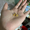 中國黃金（CHINA GOLD）黃金耳釘足金999蝴蝶結(jié)實心耳飾生日七夕節(jié)禮物送女友老婆 約2.3g【一對】 曬單實拍圖