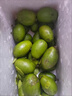 云南酸果紅河金平特產(chǎn)馬卵果味精果應季新鮮水果涼拌現貨速發(fā)包郵 1斤現摘現發(fā) 曬單實(shí)拍圖