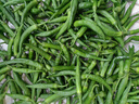 辰朵順豐到家 湖南正宗樟樹(shù)港新鮮辣椒蔬菜微辣岳陽(yáng)辣椒樟樹(shù)港辣椒 5斤 禮盒裝 曬單實(shí)拍圖