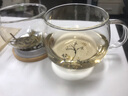 老式玻璃茶杯把手玻璃杯耐高溫防爆茶杯茶水分離家庭辦公用 花草三件杯 350ml 曬單實(shí)拍圖