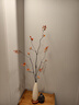 檀花美入戶玄關(guān)造景時來運轉(zhuǎn)細長花瓶擺件客廳電視柜插花新居喬遷裝飾品 招財貓花瓶+紅葉【高106cm】 曬單實拍圖