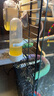 BIRDSTORY鸚鵡專用飲水器鳥食盒自動喂水器鳥食罐多功能鳥用懸掛水壺喂食器 240ML水壺【橫豎絲通用】 曬單實拍圖