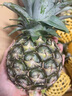 物鮮仙子正宗云南西雙版納香水小菠蘿當(dāng)季新鮮水果小菠蘿現(xiàn)摘現(xiàn)發(fā) 4斤 精選小菠蘿 曬單實(shí)拍圖