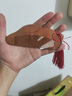 皓梵潔手工梳子自己制作diy材料手工七夕情人節(jié)禮物送女朋友桃木木梳子 DIY桃木梳【禮盒 手動(dòng)工具】 曬單實(shí)拍圖