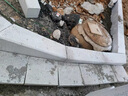 花崗巖路牙石室外廣場樹坑石彎道石天然石材大理石路沿石路緣石 s型路沿石 更多咨詢客服 曬單實(shí)拍圖