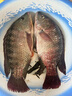 BKK4S冷鋼棱大包裝金海夕魚(yú)鉤加強有刺翹嘴鯽魚(yú)鯉魚(yú)草魚(yú)魚(yú)鉤 曬單實(shí)拍圖