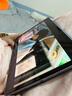 SwitchEasy魚(yú)骨牌適用于iPad Pro Air保護殼 11英寸平板電腦全包磁吸支架筆槽卡位保護套2024 ipad pro 11/13 阿拉斯加藍 iPad mini 6/7版 8.3英寸 曬單實(shí)拍圖