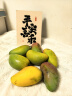甘福園海南貴妃芒芒果新鮮水果10斤當季整箱樹上熟紅金玉青煌大臺辣椒芒 海南貴妃芒凈重2斤【吃貨嘗鮮 小果【50-100g】高性價比 曬單實拍圖
