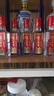 瀘州老窖特曲 小酒版光瓶2022年-25年 52度 100ml 濃香型白酒 100ml*10瓶 曬單實(shí)拍圖