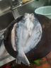 桃李旺（taoliwang）新鮮巴沙魚(yú) 巴沙魚(yú)整條 鮮凍開(kāi)背 湄公魚(yú) 烤魚(yú)燒烤食材 帶皮魚(yú)腩 【2.5kg】約3條巴沙魚(yú) 2.5kg 曬單實(shí)拍圖