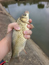 熊火熊火釣魚傘2.2m雙層遮陽防雨風(fēng)加厚黑膠釣傘可調(diào)節(jié)戶外沙灘傘 曬單實(shí)拍圖