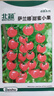 北蔬小番茄種子圣女果西紅柿蔬菜種籽 卓脆薩蘭娜甜蜜小果種子100粒 曬單實(shí)拍圖