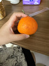 象山紅美人柑橘 浙江紅美人28號果凍橙 當季孕婦水果過(guò)年送禮禮盒 甄選大果-5斤【禮盒裝】 曬單實(shí)拍圖