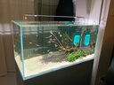 魔點(diǎn)魚缸燈led燈 防水可調(diào)色增艷XA二代雷龍燈 【全新XA二代】XA80(燈珠增加20%) 曬單實(shí)拍圖