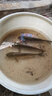沙飛龍水母狀態(tài)粉瓶裝拉絲粉水拉餌料野釣魚(yú)餌料紅蟲(chóng)網(wǎng)狀增粘劑 【特惠裝】3秒出