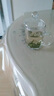 五峰貢芽2025新茶禮盒綠茶毛尖茶春茶貢芽高山云霧特級明前茶湖北 500··g 曬單實拍圖