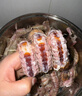 混元獸皮皮蝦肉鮮活熟凍500g冷凍蝦大號爬子肉 瀨尿蝦爬爬蝦富貴蝦海鮮 大號 皮皮蝦 500g(凈重)  10-12cm 500g 曬單實拍圖