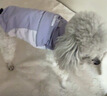 CHEEPET趣派春夏季狗狗涼感兩腳印花外穿服比熊雪納瑞小狗狗衣服 灰色 2XL胸55背40（建議13-16斤） 曬單實拍圖