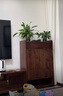 梵而簡(jiǎn)易鞋柜實(shí)木家用北美黑胡桃木門(mén)口現代簡(jiǎn)約玄關(guān)柜入戶(hù)一體靠墻柜 途樂(lè )鞋柜【北美黑胡桃】 曬單實(shí)拍圖