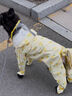 E7 生活小狗雨衣服四腳防水全包比熊小型犬寵物雨天遛狗防臟神器12-16斤 雨衣（包腳-包尾-可牽引）XL 曬單實拍圖