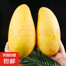 【新鮮當(dāng)季新鮮】金煌芒大青芒芒果 帶箱9斤【單果250g+】 曬單實(shí)拍圖