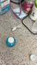 帕龍泡泡機兒童加特林泡泡槍玩具女孩1-3-6歲仙女魔法棒網(wǎng)紅吹泡泡棒 公主泡泡棒【藍】130ml+USB充電 兩三歲女童生日禮物4五歲小女孩7 曬單實拍圖