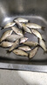 達摩 浮漂E-02魚漂巴爾杉木高靈敏棗核硬尾醒目輕口鯽魚浮標 E-02 3號 曬單實拍圖