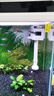 森森森森XHE/HR小魚缸原裝水泵JP230 APJ500 HQJ700G三合一過濾循環(huán)泵 HQJ-700G 8W 白色 單泵頭 曬單實(shí)拍圖