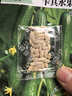 一播大地 水果黃瓜 黃瓜菜籽翠綠黃瓜四季種植蔬菜種子陽(yáng)臺種菜 盆栽 易種 卡其荷蘭水果黃瓜種子原裝50粒 曬單實(shí)拍圖