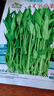 三叉空心菜種子通心菜籽耐熱耐濕夏季菜地陽臺盆栽易種植蔬菜種子 三叉空心菜種子【2袋】約100粒 曬單實拍圖