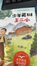 （二年級）少年英雄王二?。ㄐW語文同步閱讀書系） 曬單實拍圖