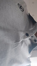 夏季男士新款刺繡商務(wù)短袖POLO衫休閑高端翻領(lǐng)寬松上衣薄款男裝 KC-A06-灰色 XL 曬單實(shí)拍圖