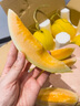 正宗陜西黃河蜜瓜新鮮水果當(dāng)季整箱黃金蜜瓜脆甜蜜香瓜哈密瓜整箱 凈重2.6-3斤【1-2個】 曬單實(shí)拍圖