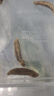 野生100只純大連海參孕婦放心吃干貨淡干海刺參 20只黑刺王（3-4厘米） 深海淡干海參 曬單實(shí)拍圖