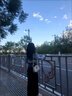 FSHE西裝長裙miu系慵懶百搭經(jīng)典開叉腰帶西裝半身女裙長裙百搭時尚女 黑色 不送腰帶 S 曬單實拍圖