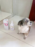 諾凡爾中華田園犬沐浴露土狗幼犬專(zhuān)用洗澡用品殺菌除臭寵物狗狗香波浴液 中華田園犬沐浴露500ML 日本品牌直營(yíng) 中華田園犬專(zhuān)用 曬單實(shí)拍圖