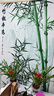 妙貝語竹報(bào)平安掛畫客廳玄關(guān)入戶門竹子木框裝飾畫現(xiàn)代水墨風(fēng)景綠植掛畫 竹報(bào)平安2 80*160 曬單實(shí)拍圖