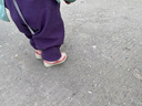 牧童寶寶學(xué)步鞋男童鞋子秋冬款小童軟底嬰幼兒網(wǎng)面機(jī)能鞋女 星云粉0571（透氣網(wǎng)面） 17 鞋內(nèi)長12.8cm/適合腳長12.3cm 曬單實拍圖