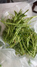 辰實(shí) 【順豐速發(fā)】艾草新鮮 艾葉 現(xiàn)摘清明草 粑粑青團(tuán) 2斤【新鮮采摘】推薦 曬單實(shí)拍圖