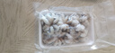 不花心精品新鮮八爪魚鮮凍小章魚迷你短腿八爪魚300g/袋 精品凍生章魚 300g(凈重)  *2包 曬單實拍圖