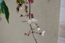 Canon佳能5D4 6D2 6D 5D3 5D2二手全畫幅單反相機(jī)專業(yè)學(xué)生入門級(jí)數(shù)碼相機(jī)/鏡頭套機(jī) 佳能6D一代【EOS 6D】 機(jī)身+佳能50mm f/1.8STM小痰盂鏡頭 95成新 曬單實(shí)拍圖