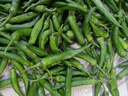 辰朵順豐到家 湖南正宗樟樹(shù)港新鮮辣椒蔬菜微辣岳陽(yáng)辣椒樟樹(shù)港辣椒 5斤 禮盒裝 曬單實(shí)拍圖