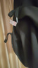 QVI高端品牌連帽衛(wèi)衣女2025春秋新款休閑時尚寬松小個子加絨上衣外套 黑色-小F【春秋薄款】 L 建議100-120斤 曬單實拍圖