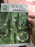 一播大地 水果黃瓜 黃瓜菜籽翠綠黃瓜四季種植蔬菜種子陽(yáng)臺種菜 盆栽 易種 卡其荷蘭水果黃瓜種子原裝50粒 曬單實(shí)拍圖
