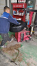 優(yōu)科豪馬（yokohama）優(yōu)科豪馬輪胎(Yokohama) BluEarth.XT AE61 255/50R20 105V適配比亞迪唐 汽車輪胎 曬單實拍圖